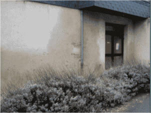 remontee capillaire vue extérieure : Mur-Assechement