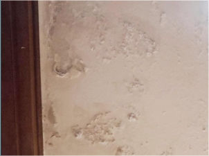 salpêtre sur enduits intérieurs : Mur-Assechement