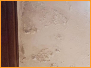 salpêtre sur enduits intérieurs : Mur-Assechement