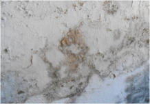 salpêtre : Mur-Assechement