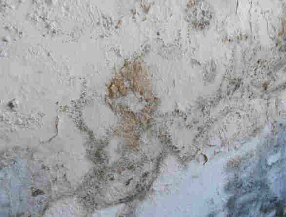 salpêtre et efflorescences : Mur-Assechement