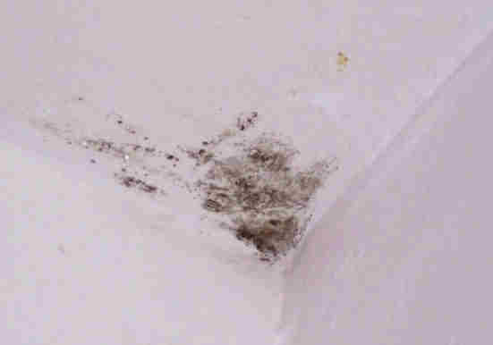 condensation : Mur-Assechement