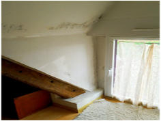 moisissures en comble : Mur-Assechement