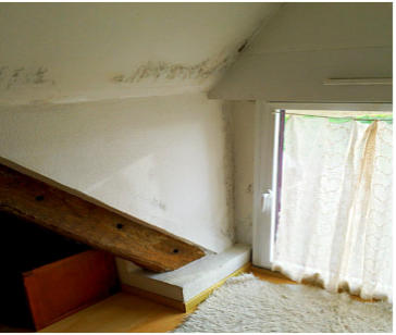 moisissures en comble : Mur-Assechement