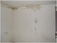 moisissures plafond