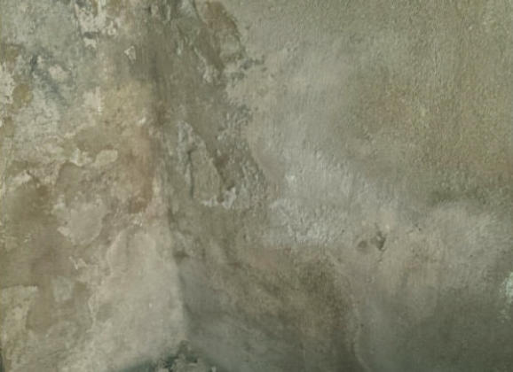 salpêtre sur enduits