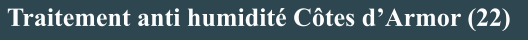 Traitement anti humidité Côtes d’Armor (22)