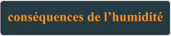 conséquences de l’humidité