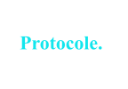 Protocole.